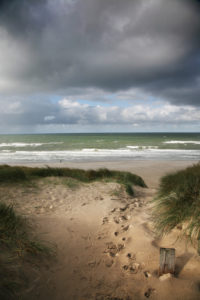 Beach in Denmark Beach in Denmark